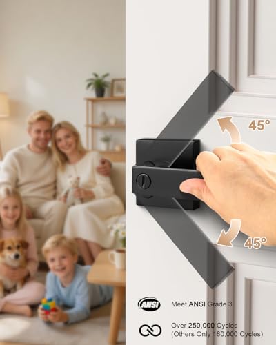 Probrico Interior Privacy Door Lever Handles with Lock, Matte Black 10 Pack Bedroom & Bathroom Zinc Alloy Lockset - color: Matte Black