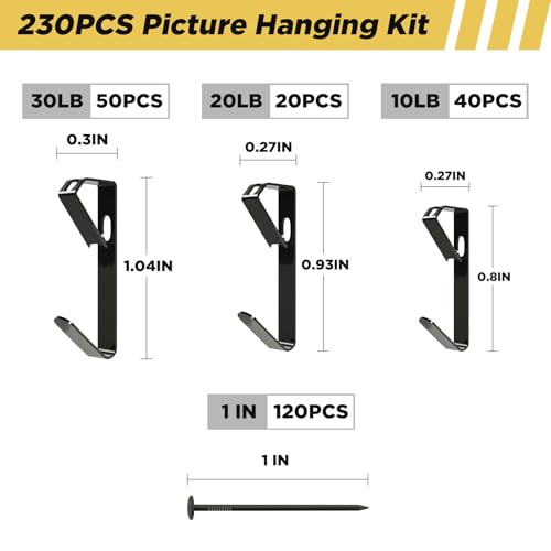 Picture Hanging Hooks 230 Pieces,10lb, 20lb, and 30lb Picture Hangers ,Nails Hanging Kit, Metal Picture Hangers for Drywall Wooden Wall,Black - color: Black