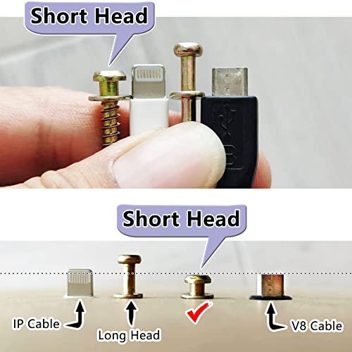 35pc 4-in-1 Bear Claw Dual Headed Picture Hanging Nails for D-Rings/Keyhole - size: Color Zinc