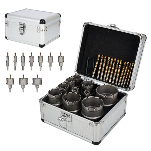BLACK CANYON 12 Pcs Carbide Hole Saw Kit, Heavy Duty Hole Saw Set with Carbide Hole Cutters and Pilot Drill Bits, for Stainless Steel/Cast Iron/Carbon Steel/Aluminum/Metal (5/8" to 2-1/8")