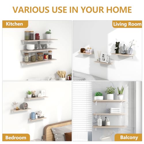 LSK 6PCS L Bracket, L 4"×H 2" Shelf Support Bracket, Max Load :42lb, White - color: White, size: 4x2 inch (light duty)