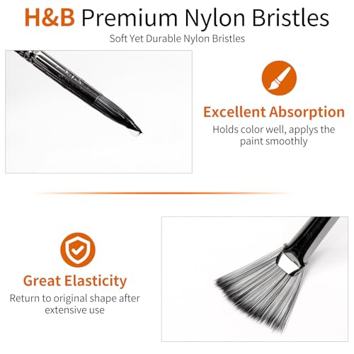 H & B 25 PCS Acrylic Paint Brush Set with Canvas Roll for Oil Watercolor - color: Black