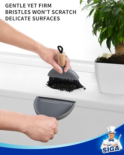 MR.SIGA Mini Dustpan and Brush Set, Bamboo Handle, Gray, 1 Set - color: Gray