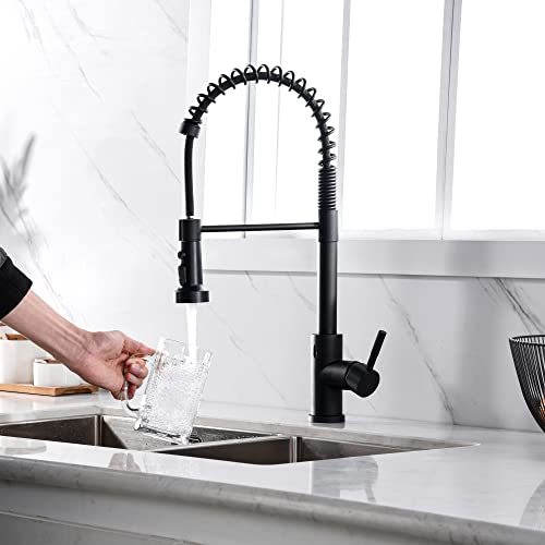 TIORIY Kitchen Faucet Head Replacement Black, with 15 Adapters Plastic Pull Down Faucet Spray Head, 3 Modes Pull Out Kitchen Sink Sprayer Nozzle, Matte Black - color: Matte Black, style: Blade Spray