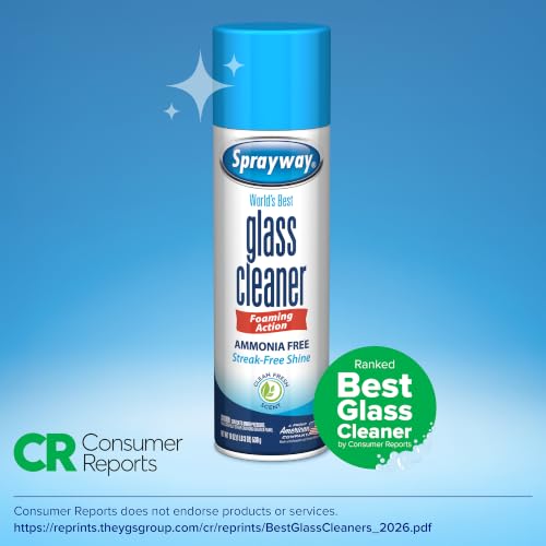 Sprayway Glass Cleaner Foaming Aerosol Spray, 19oz, Pack of 2 | Ammonia-Free, Streakless, Fast-Acting | Cleans & Polishes Glass Surfaces | Fresh Scent, Removes Fingerprints, Dust, Dirt, Smoke Film