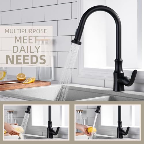 Angle Simple Kitchen Faucet Head Matte Black, NSF/ANSI/CAN 61 & 372 Tested - color: Matte Black