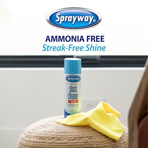 Sprayway Glass Cleaner Foaming Aerosol Spray, 19oz, Pack of 2 | Ammonia-Free, Streakless, Fast-Acting | Cleans & Polishes Glass Surfaces | Fresh Scent, Removes Fingerprints, Dust, Dirt, Smoke Film