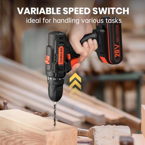 20V Cordless Drill Driver Set, Electric Power Screwdriver Drill with 2.0Ah Battery, 3/8" Keyless Chuck, 18+1 Torque Settings, 2 Speed, LED Light, 42PCS Accessory Kit