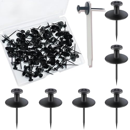 60 PCS Double Headed Picture Hanging Nails, Thumb Tacks for Wall Hanging Kit, Heavy Duty Push Pins, Frame Hangers Hooks, Renter Friendly Wall Decor Small Nails for Drywall Cork Board