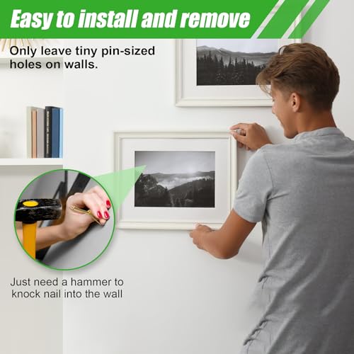 169 Picture Hanging Kit, 10-100lb Picture Hook Sets, Boxed 83 Metal Picture Hangers and 86 Nails, Suitable for Wooden Walls, Plasterboard Picture Hooks.