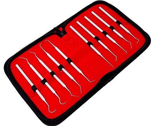 Set of 10 Stainless Steel Precision Micro Pick Set Combo, 5.5 inch to 6 inch Overall Length