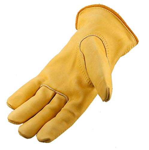 Galeton 25001PR-M, Rough Rider Premium Leather Driver Gloves With Elastic Back, Medium, Gold (Pack of 1) - size: Medium (Pack of 1)