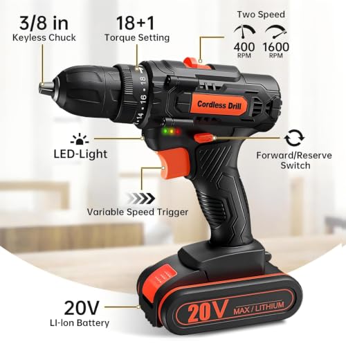 20V Cordless Drill Driver Set, Electric Power Screwdriver Drill with 2.0Ah Battery, 3/8" Keyless Chuck, 18+1 Torque Settings, 2 Speed, LED Light, 42PCS Accessory Kit