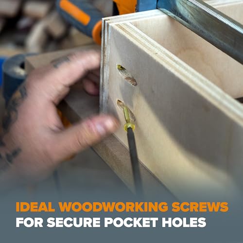 Bora Pocket Hole Screws - 2 Inch (50 Piece) - Fine Thread