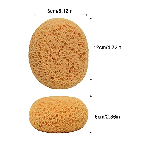 Texture Sponge w/Scraper, Home Decor Drywall Texture Patch Sponge for Wall Texture Repair/Drywall Repair/DIY Painting Ceiling, Washable & Reusable(Size:2 pcs)