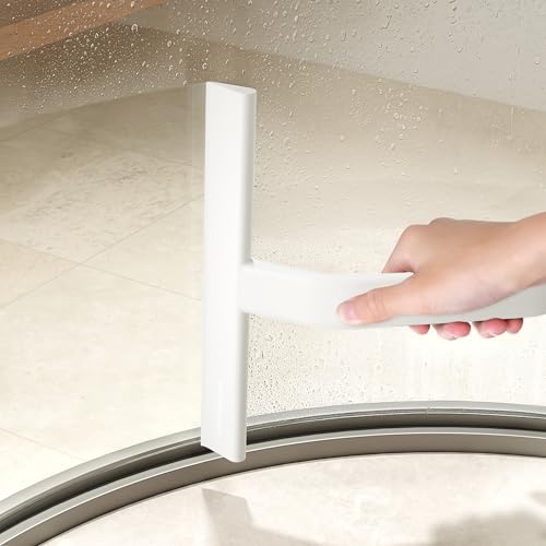 dancemoon JustHang Shower Squeegee with Built-in Hook, 10-Inch White - color: Classic White