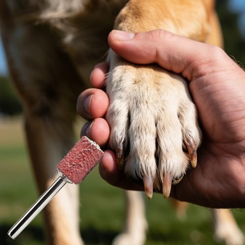 22-Pack Pet Nail Grinder Replacement Kit - 60 & 100 Grit Sanding Bands - size: 1/4 Inch