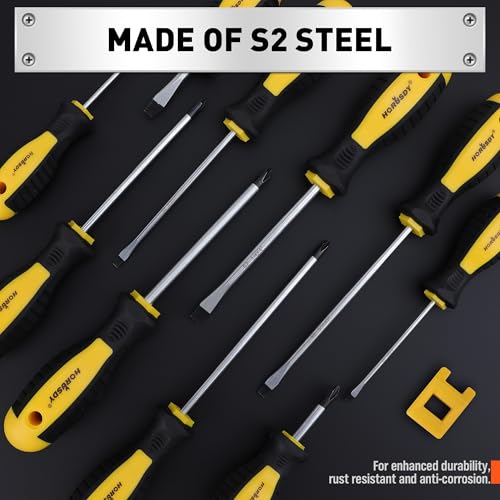 HORUSDY 11-piece Magnetic Screwdriver Set with Case, 5 Phillips & 5 Flat Head Tips with Magnetizer demagnetizer Precision Screwdriver Set - style: 11-piece Magnetic Screwdriver Set with Case