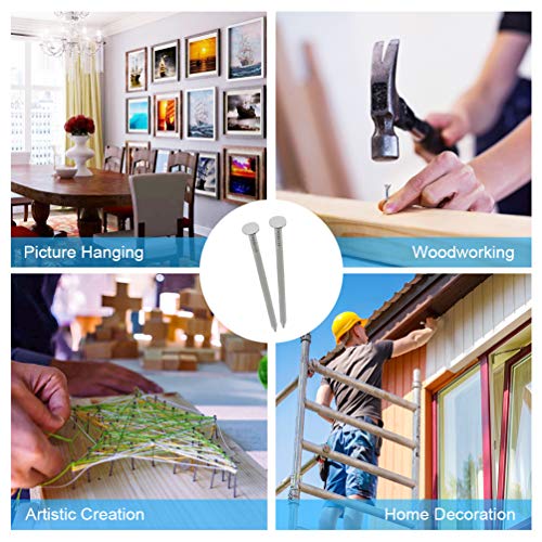 376PCS Galvanized Nails Kit with Storage Box, 6 Sizes for Hanging Pictures - style: 376pcs Galvanized