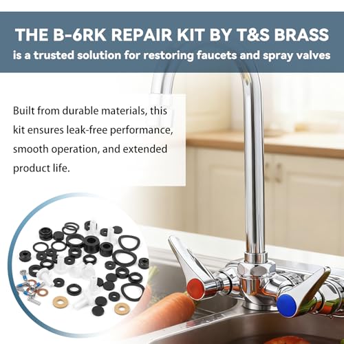 B-6RK Faucet Repair Kit for T&S Brass Faucet Cartridges & Spray Valves