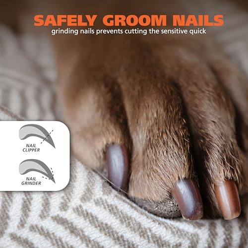 Wahl Dog Nail Grinder Replacement Accessory Kit, 8 Pieces | Includes: Grinding Drum, Stone & Sanding Grit Bands For Pet Rotary Tool Electric Nail File – Model 3028371