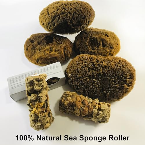 Natural Sea Sponge for Painting, 4" Texture Paint Decorative Roller - style: MN488