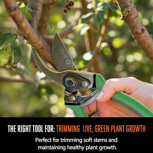 Scotts 2-Piece Pruning Tool Set – Includes 8 in. Bypass Pruning Shears for Live Plants and Soft Stems, and 7.5 in. Folding Saw for Cutting Thick Branches - style: Bypass Pruner & Folding Saw Set
