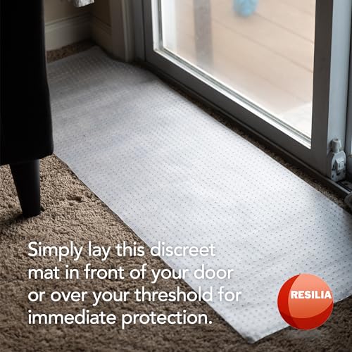 Pet Carpet Protector - Doorway Damage Deterrent and Scratch-Stopper for Cats, Dogs, and Pets, Heavy-Duty PVC Runner, Cut to Fit, Clear, 15 Inches x 48 Inches, Made in The USA - size: 1'3" x 4' (Rectangular)