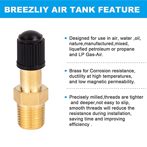 2PCS 1/8" NPT Tank Valve Anti-Corrosion Brass Schrader Valve with Standard Valve Core with 1/8'' NPT Male,Using with Air Compressor Tanks with Sealing Caps - size: 2PCS 1/8" NPT Tank Valve