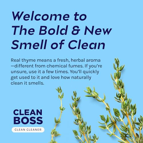 CleanBoss Botanical Disinfectant - 24 oz 2-Pack Multi-Surface Cleaner