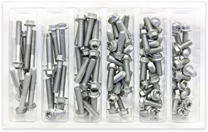 M6 Euro TORX Flange Bolt Assortment 100 Piece KIT