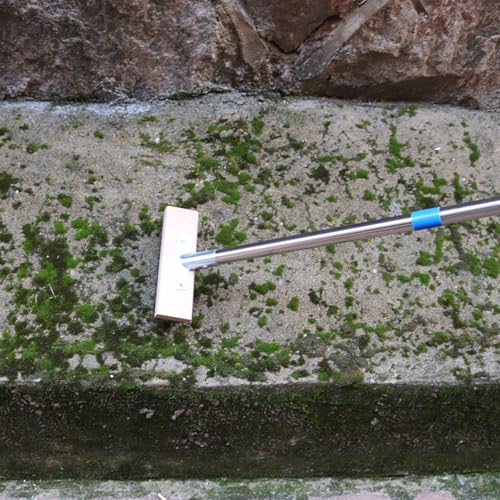 MAXMAN Wire Scrub Brush, 63"Stainless Steel Bristle, Outdoor Patio Cleaning - size: With 1PC 8-inch brush head