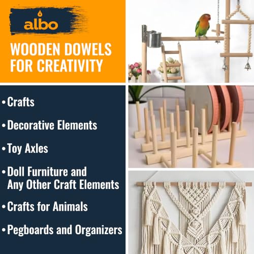 ALBO 1/2" x 6" Wooden Dowel Rods, 25 PCS Birch Natural Thin Hardwood Dowels - size: 1/2" x 6" 25 Pcs
