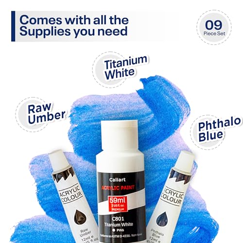 Painting4Real Acrylic Art Painting Kit with Video Tutorials - How to Paint with Acrylic Paint Set for Adults, Learn to Paint Winter Owl - 9 Peices Painting Set for Adults, Beginners, Art Lovers - color: Winter Owl