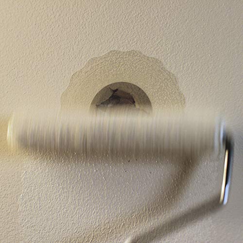 DAP 7079809163 Repair Eclipse Wall Patch, 4 Inch, Clear,White (Pack of 2) - size: 4 Inch (Pack of 2)