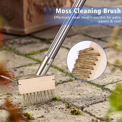 Moss Remover Brush Tool with 65in Handle for Concrete Pavers Crevice