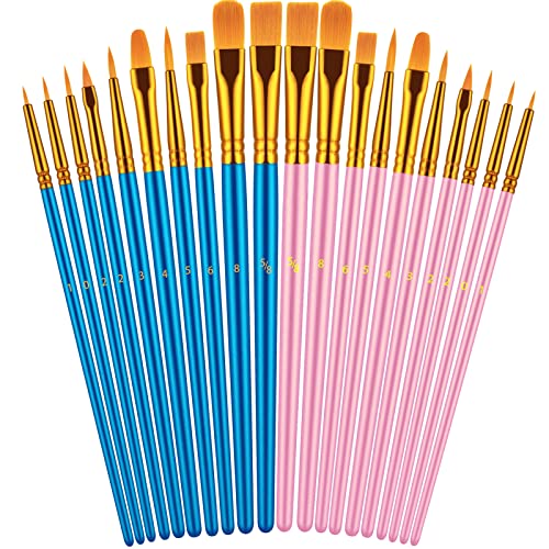 Artstorys Paint Brushes Set, 20 Pcs Acrylic Oil Watercolor Painting Brushes - color: Blue,pink