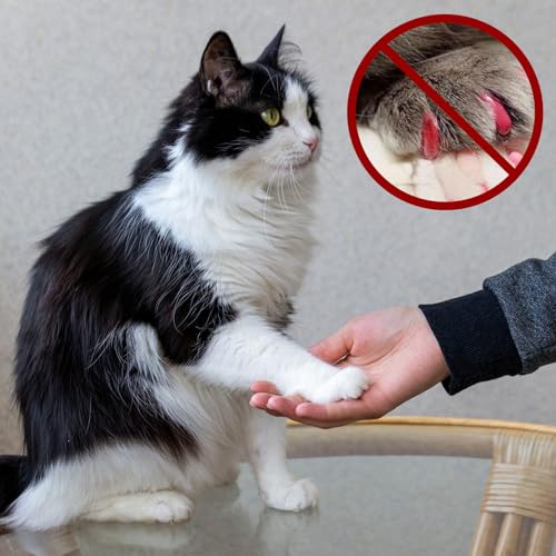Dimeho 42 Pcs Pet Nail Grinder Replacement Kit with Grit Sanding Bands Pet Dog Nail Smoother Sanding Drum Set Pet Claw Grooming Supplies for Dog Claw Care (80#/120#)