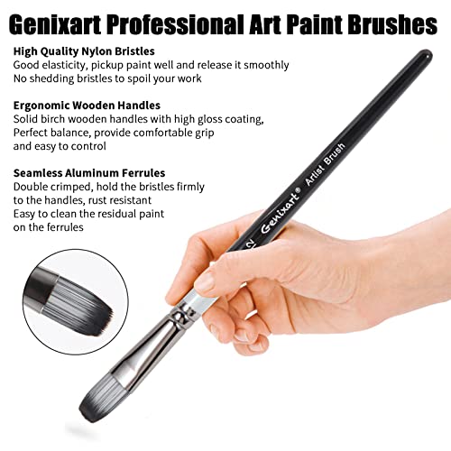 Genixart Filbert Paint Brush Set - Art Paintbrushes Acrylic Oil Watercolor - size: Filbert - 6 Pcs