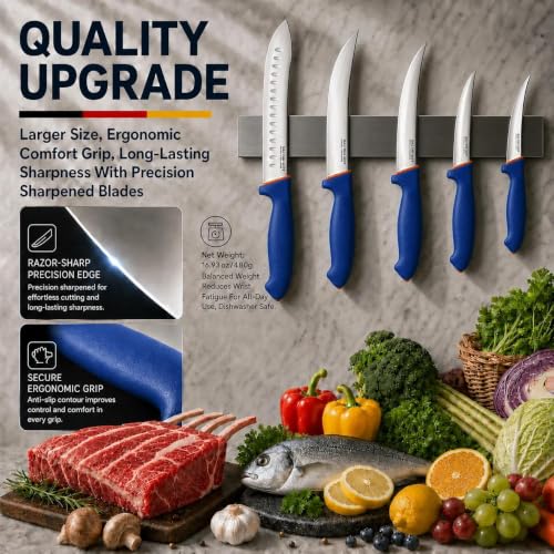 DRAGON RIOT 6-Piece Boning Butcher Knife Set 10inch, Stainless Steel - color: 6-Pcs