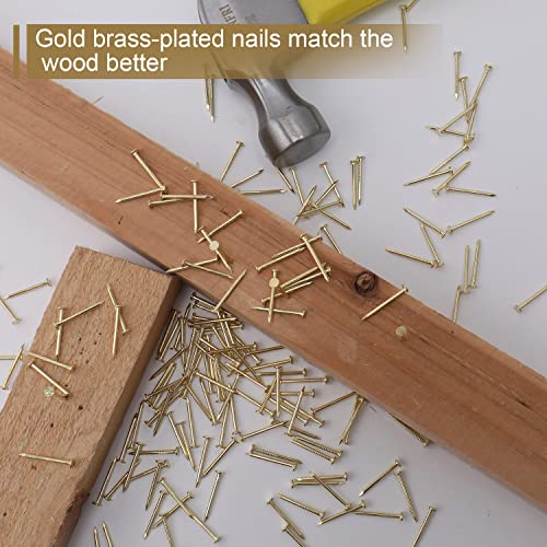 JEGONFRI 900PCS 3/4" x 17Ga Brass Plated Finishing Nails - color: Gold, size: 3/4 In , 900 Pcs
