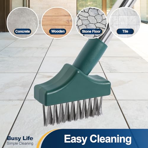 Yocada Moss Remover - Crevice Cleaning Tool, Moss Brush, Wire Metal Brush