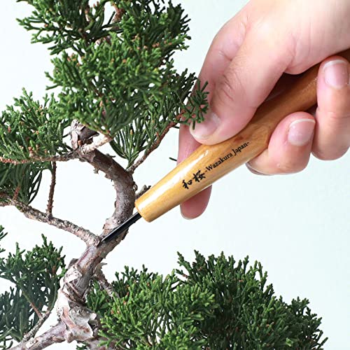Wazakura Made in Japan Bonsai Chisel Hand V-Parting Triangle Carving Tool 1.5 mm for Jin Shari Making, DIY Woodcarving Knife for Experts and Beginners (V-Parting Triangle Shape 1.5 mm) - style: V-Parting Triangle Shape 1.5 mm