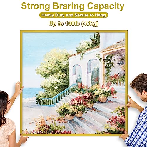 MAPVOLUT 88Pcs Heavy Duty Picture Hanging Wire Kit, Include 50Ft Stainless Steel Wire Picture Hanging for Photo Mirror Frame, up to 110lbs, D Ring, Picture Hangers, Screws, Hanging Hooks, Nails, Level - style: Picture Hanging Wire Kit