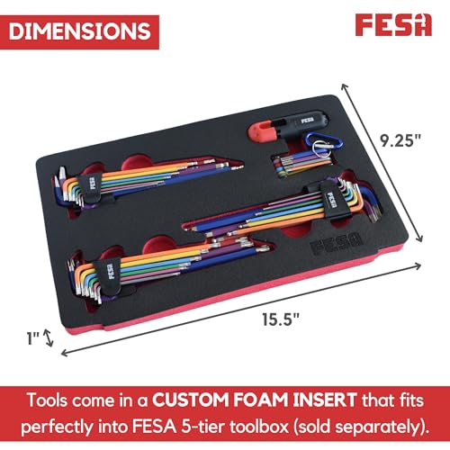 FESA Jumbo Hex Key Allen Wrench Set 29-Piece Torx - style: With Foam Tray