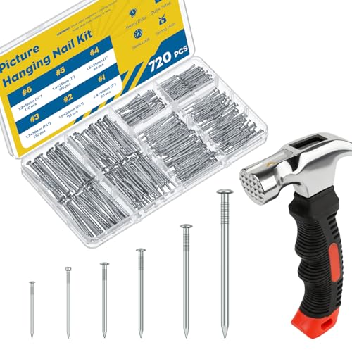 Vibit 720 Pcs Nail Assortment Kit with Small Hammer, 6 Sizes, Picture Hanging Nails for Wall Art, Small Nails for Hanging Pictures, Drywall Wood Hardware Nails Finishing Nails Wall Nails for Hanging - style: 720 Pcs with Hammer