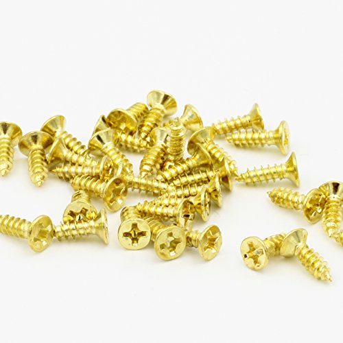 Brass Countersunk Head Wood Screw Assortment Kit,Pack of 500,Gold