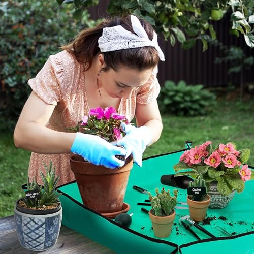 ANPHSIN 20pcs Small Gardening Tools Gifts for Women Beginners, Green | Garden Hand Tools Set for Indoor Succulent Bonsai Plants Transplanting, Included 39" Plant Repotting Mat/Mini Shovel/Labels - color: Green