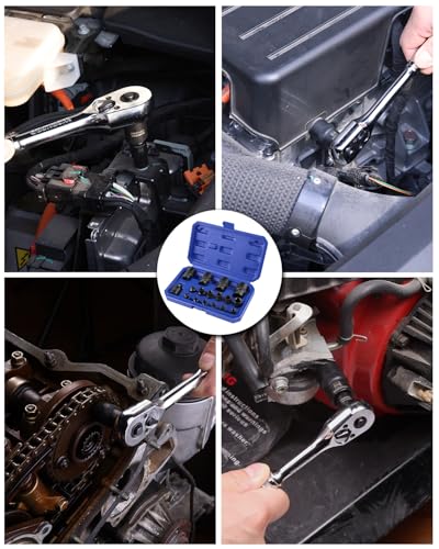 WORKPRO 17-Piece Female E-Torx Socket Set, E4-E24, CR-V Steel
