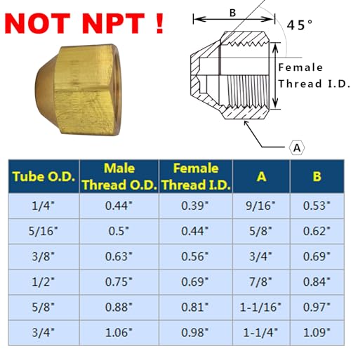 Brass Flare Cap Assortment Kits, SAE 45 Degree Flared Tube Fitting for 1/4" 5/16" 3/8" 1/2" 5/8" Tube OD, 5pcs - size: Kit